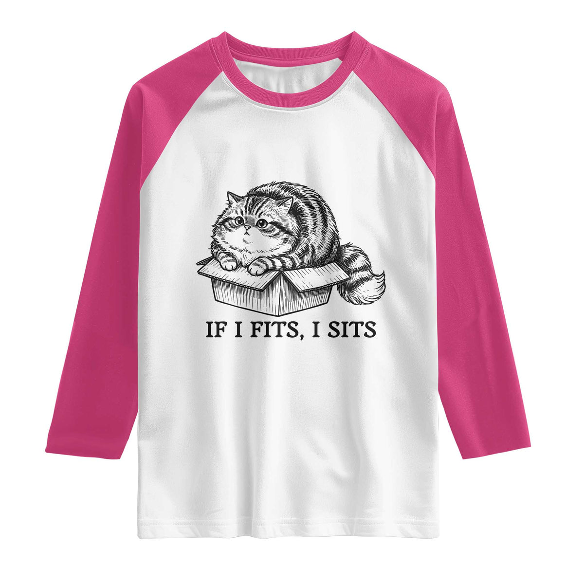 If I Fits I Sits Raglan Shirt Chubby Kitty Funny Cat Lover Gift