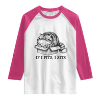 If I Fits I Sits Raglan Shirt Chubby Kitty Funny Cat Lover Gift