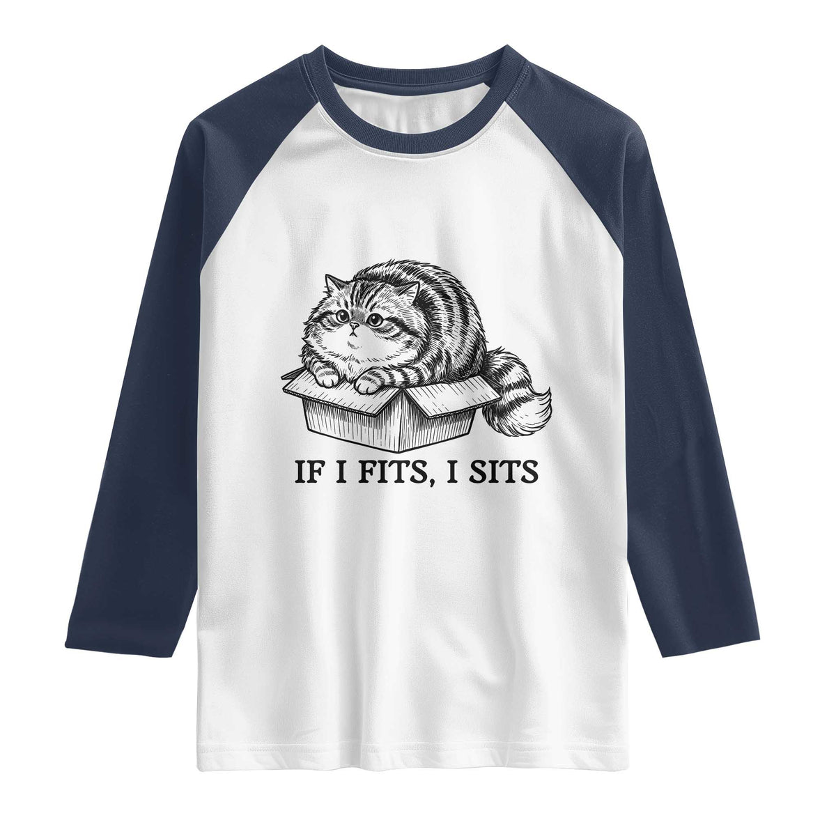 If I Fits I Sits Raglan Shirt Chubby Kitty Funny Cat Lover Gift