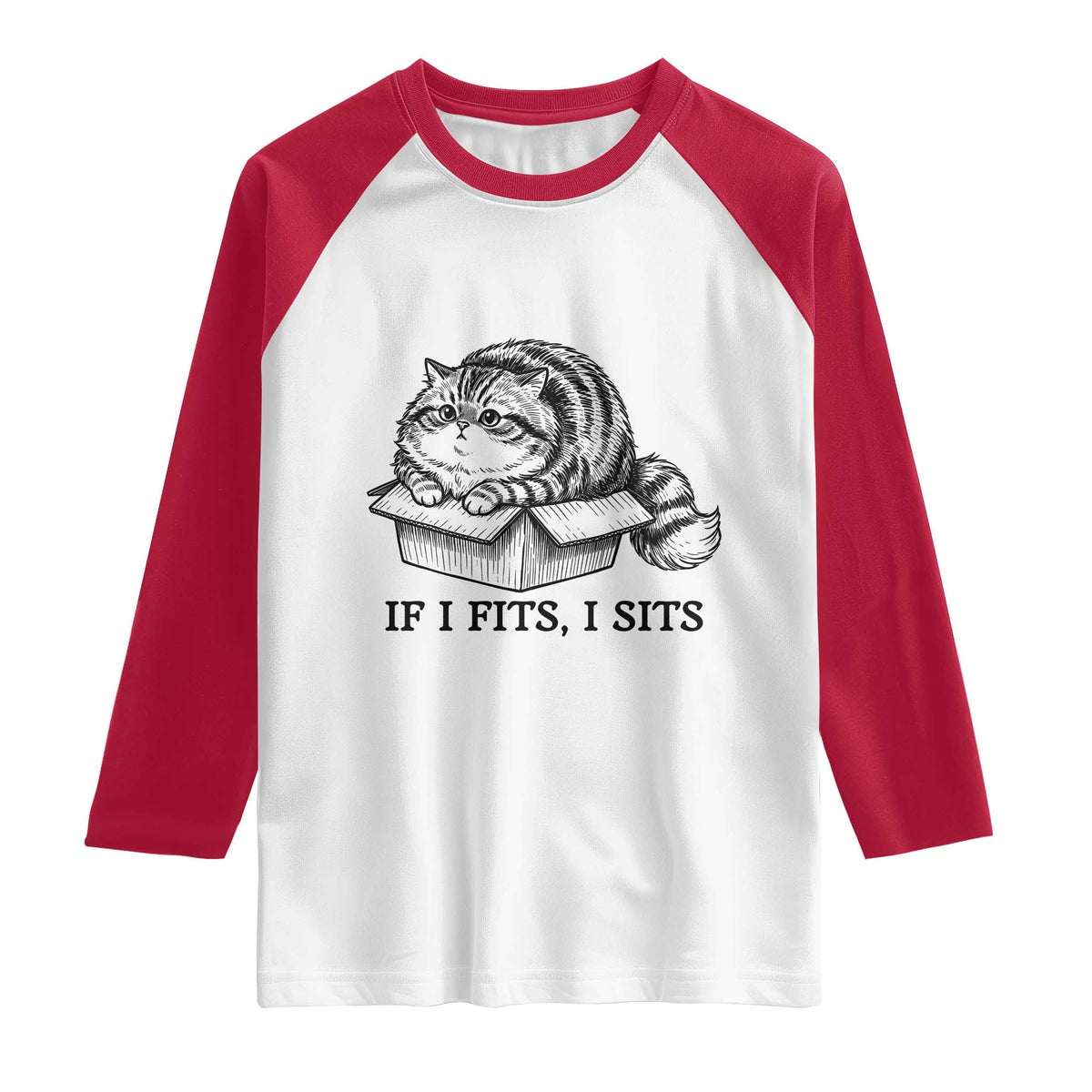 If I Fits I Sits Raglan Shirt Chubby Kitty Funny Cat Lover Gift