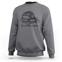If I Fits I Sits Sweatshirt Chubby Kitty Funny Cat Lover Gift