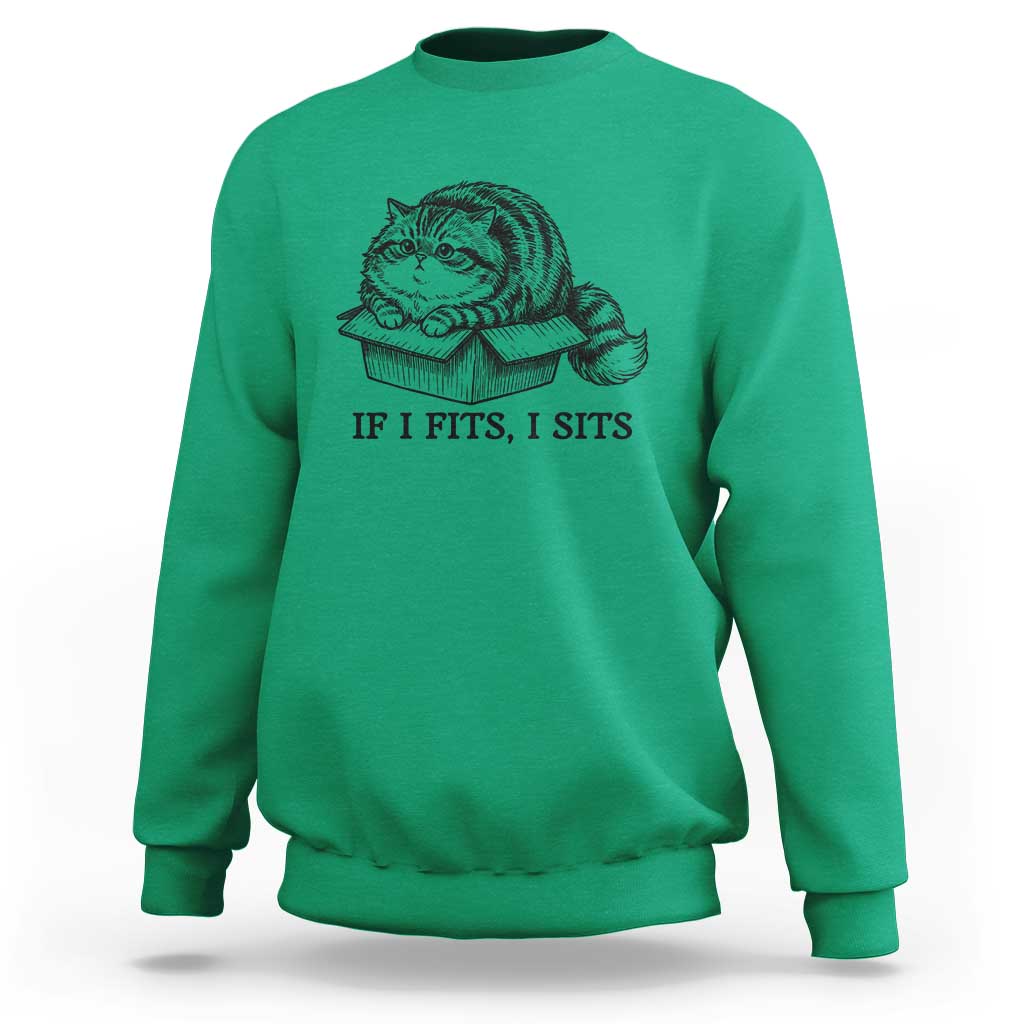 If I Fits I Sits Sweatshirt Chubby Kitty Funny Cat Lover Gift