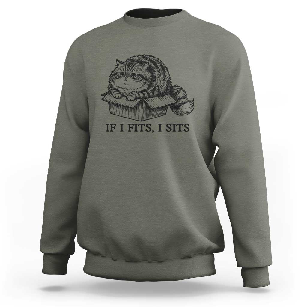 If I Fits I Sits Sweatshirt Chubby Kitty Funny Cat Lover Gift