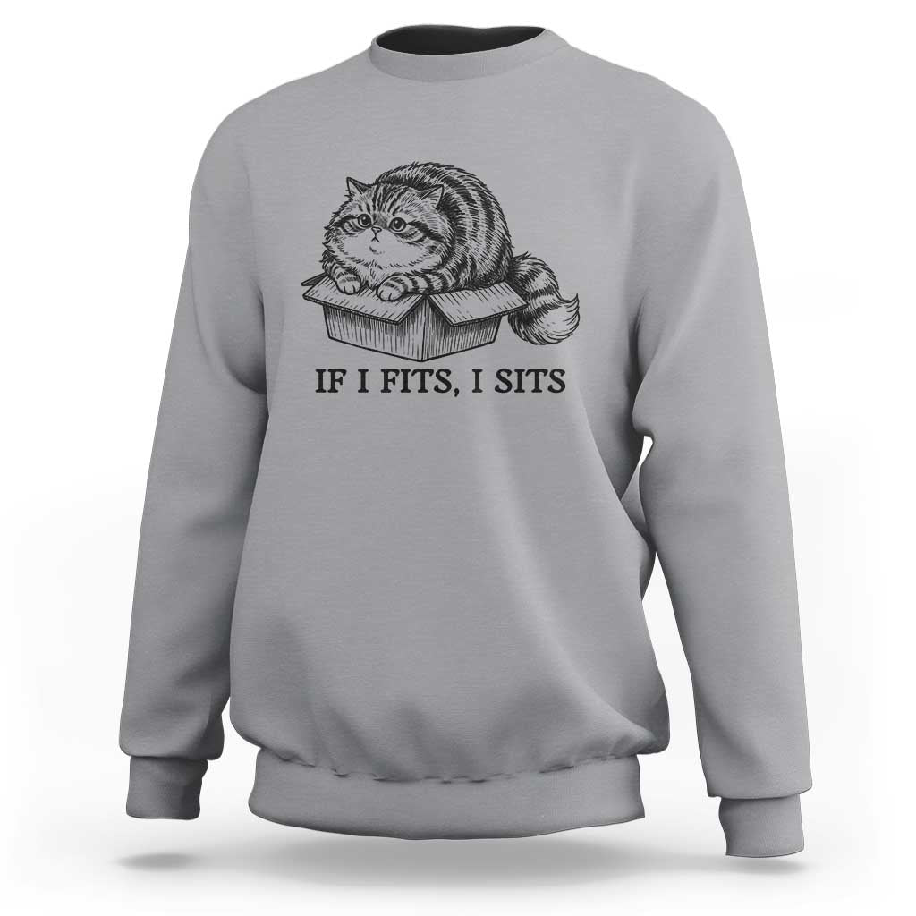 If I Fits I Sits Sweatshirt Chubby Kitty Funny Cat Lover Gift