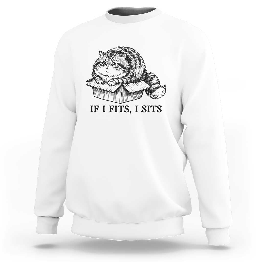 If I Fits I Sits Sweatshirt Chubby Kitty Funny Cat Lover Gift