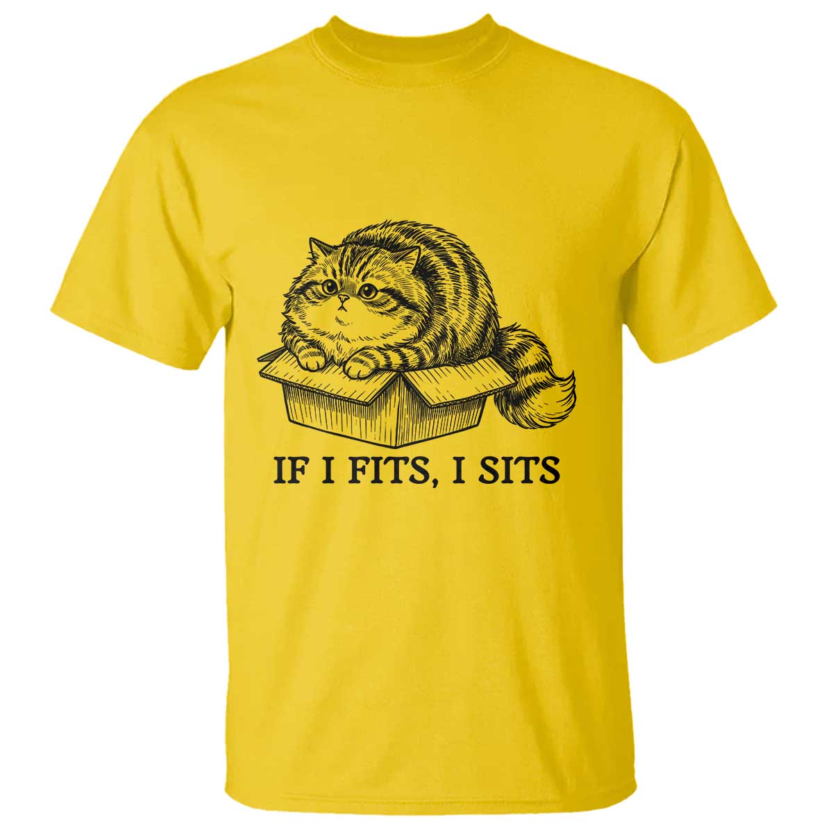 If I Fits I Sits T Shirt Chubby Kitty Funny Cat Lover Gift
