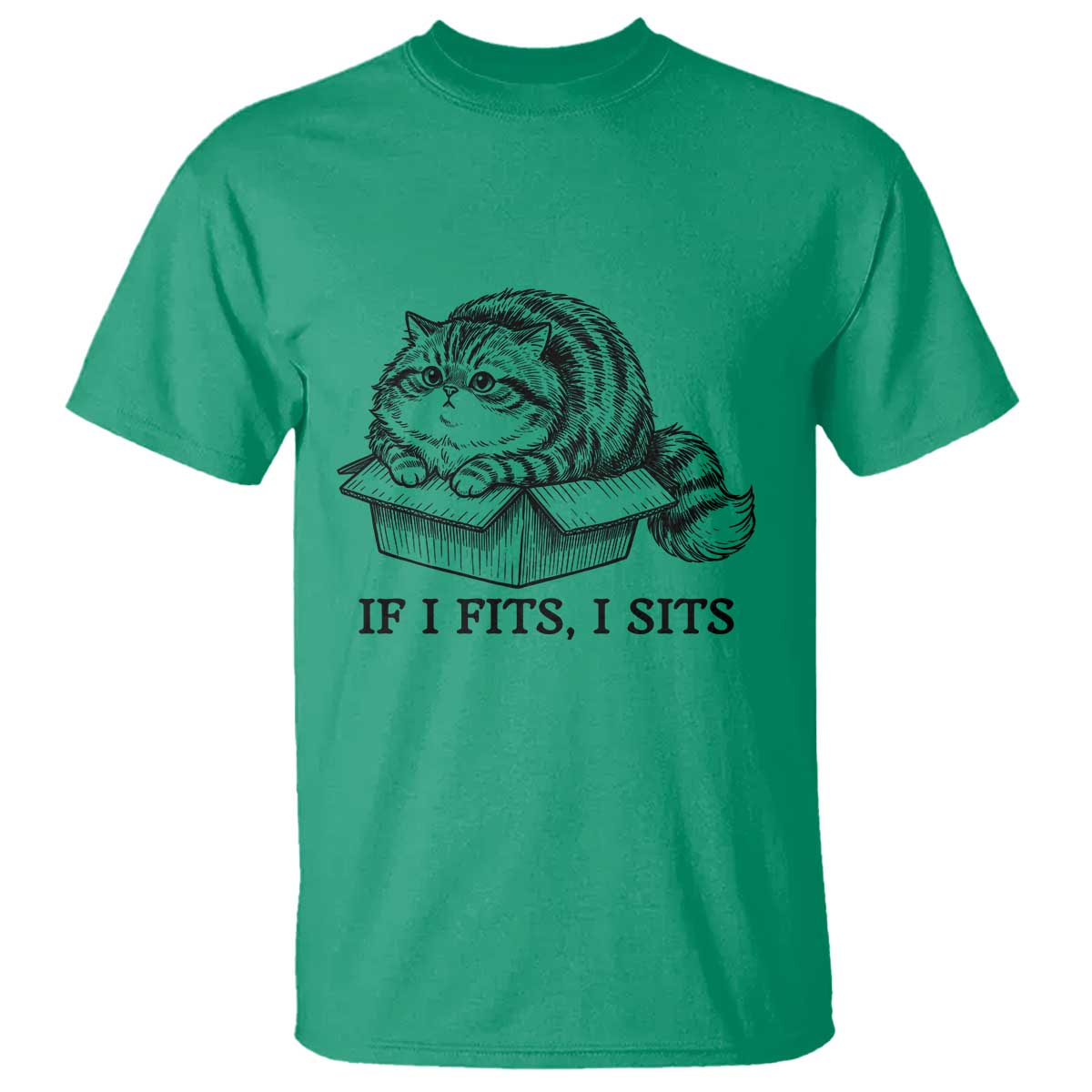 If I Fits I Sits T Shirt Chubby Kitty Funny Cat Lover Gift
