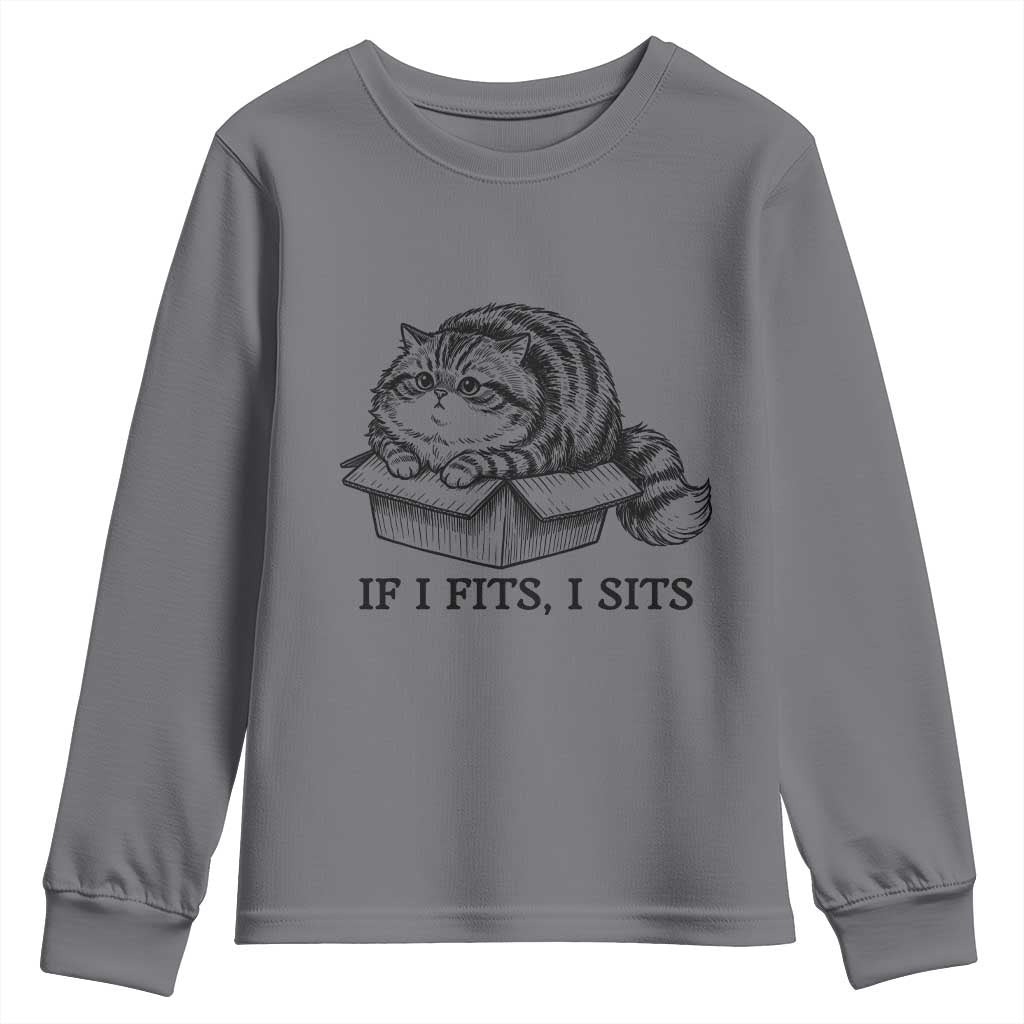 If I Fits I Sits Youth Sweatshirt Chubby Kitty Funny Cat Lover Gift