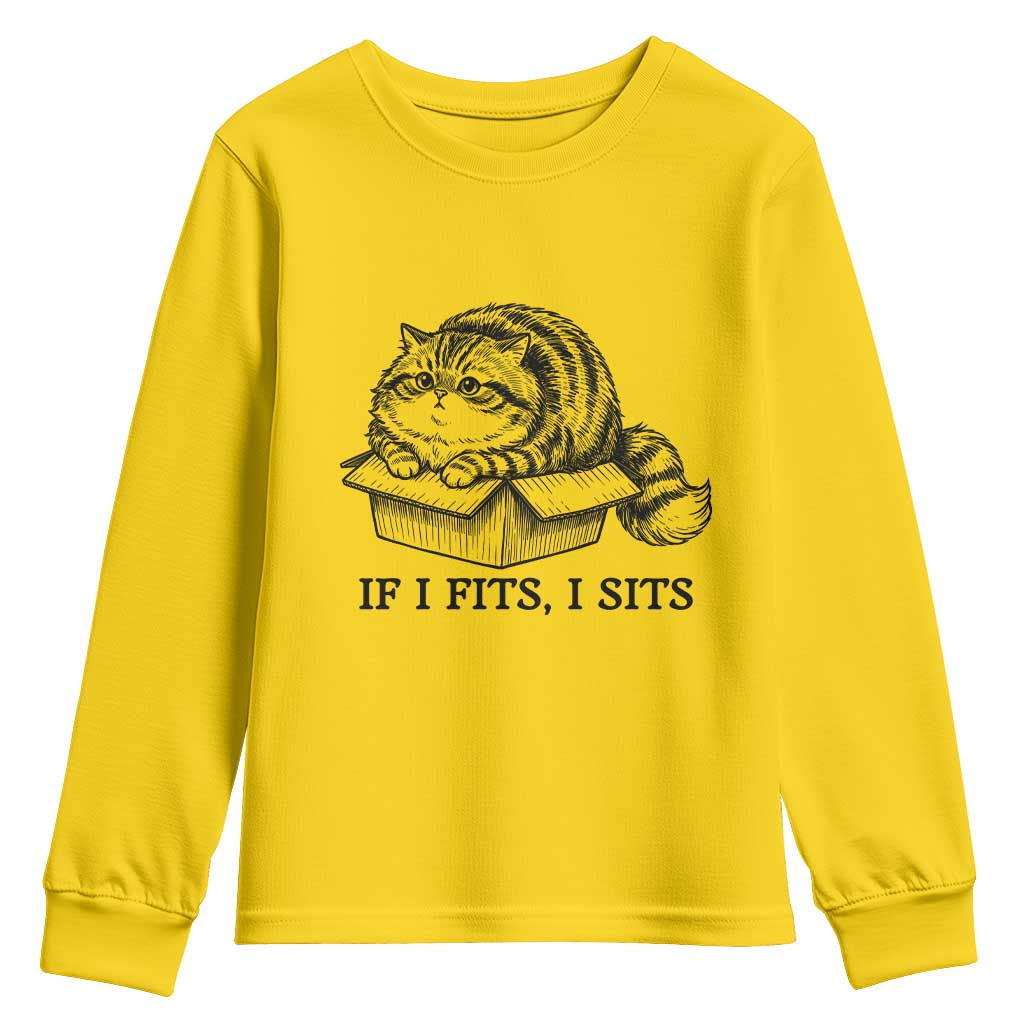 If I Fits I Sits Youth Sweatshirt Chubby Kitty Funny Cat Lover Gift