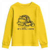 If I Fits I Sits Youth Sweatshirt Chubby Kitty Funny Cat Lover Gift