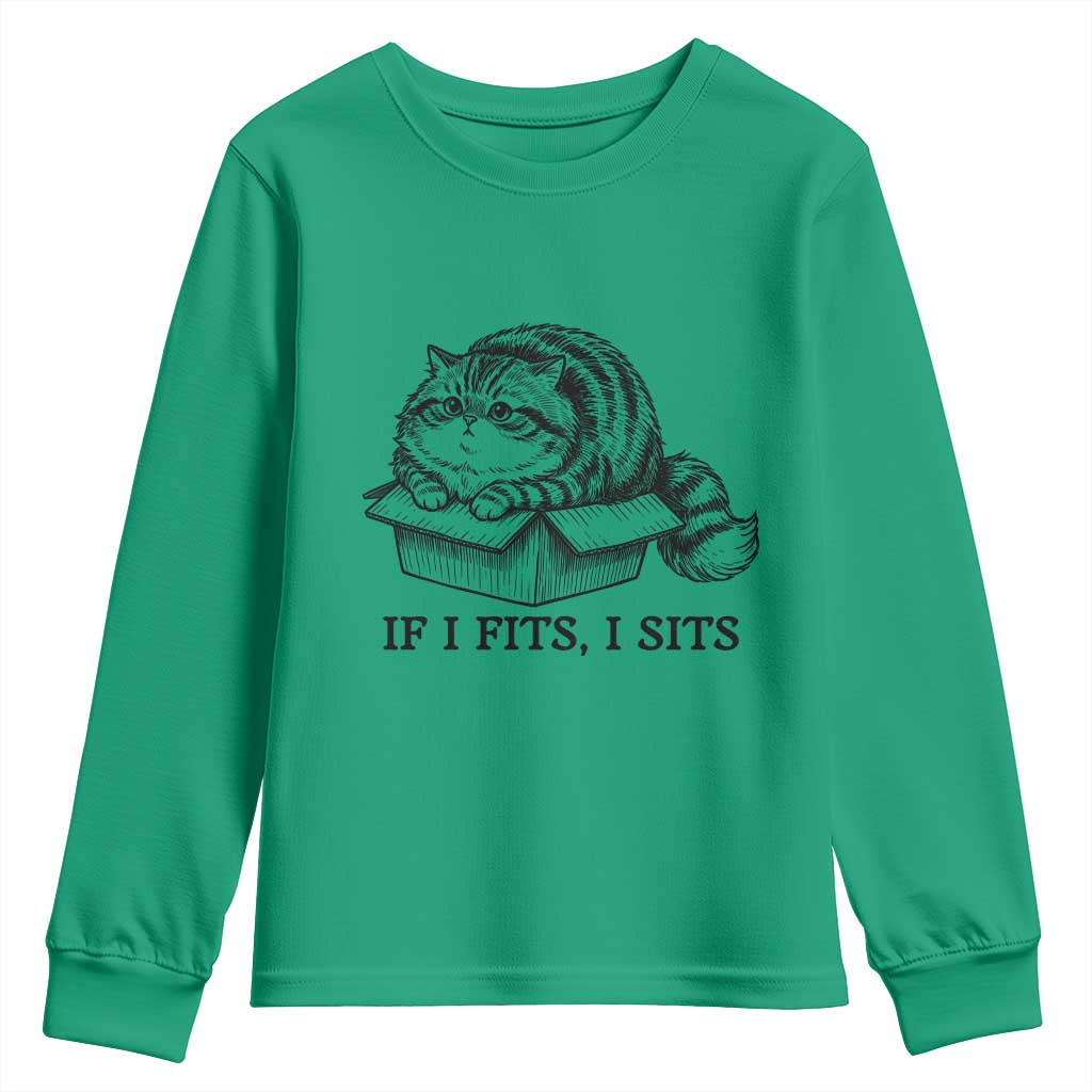 If I Fits I Sits Youth Sweatshirt Chubby Kitty Funny Cat Lover Gift