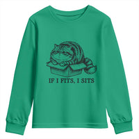 If I Fits I Sits Youth Sweatshirt Chubby Kitty Funny Cat Lover Gift