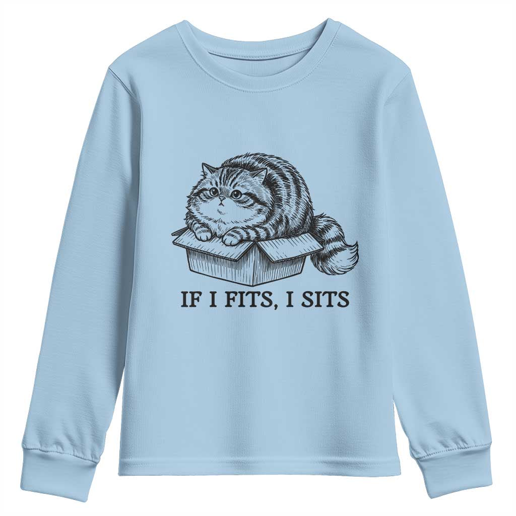 If I Fits I Sits Youth Sweatshirt Chubby Kitty Funny Cat Lover Gift