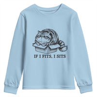 If I Fits I Sits Youth Sweatshirt Chubby Kitty Funny Cat Lover Gift