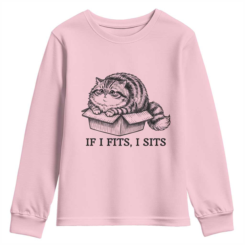 If I Fits I Sits Youth Sweatshirt Chubby Kitty Funny Cat Lover Gift