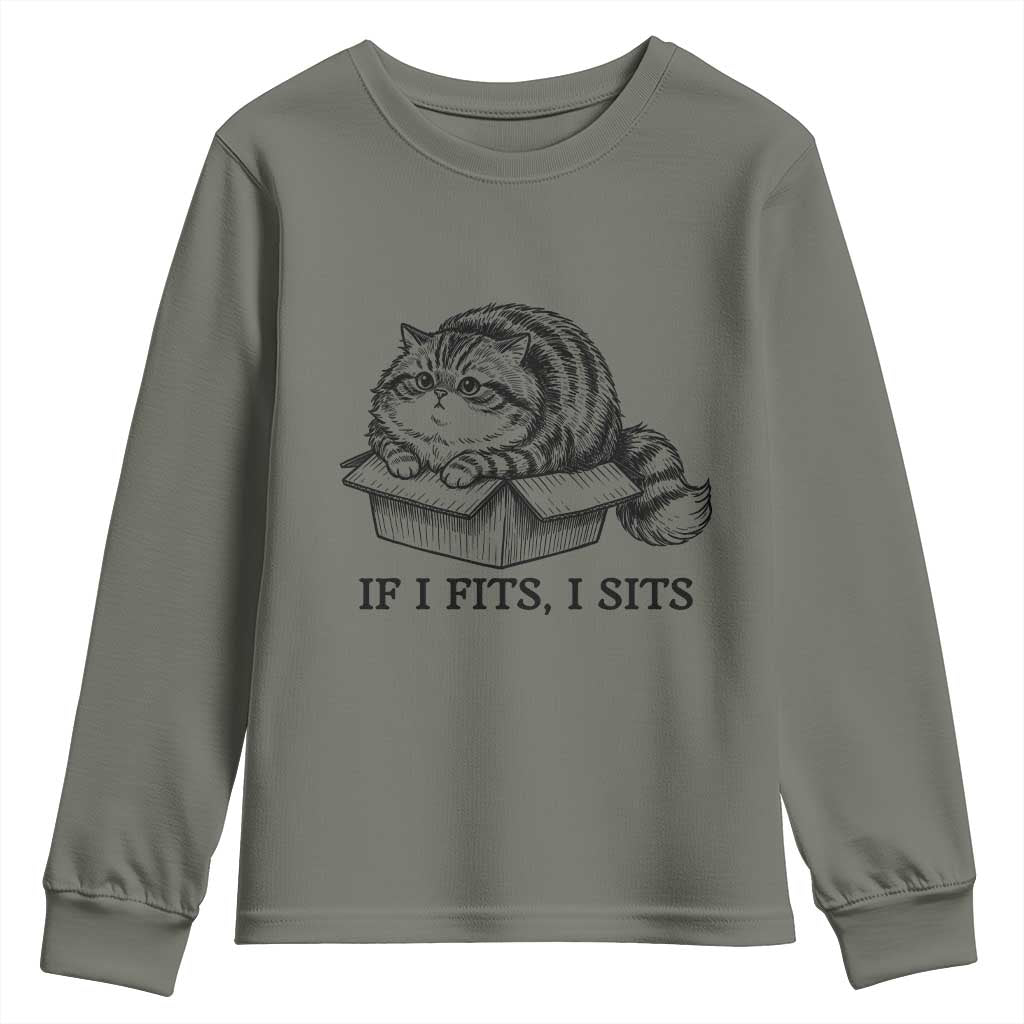 If I Fits I Sits Youth Sweatshirt Chubby Kitty Funny Cat Lover Gift