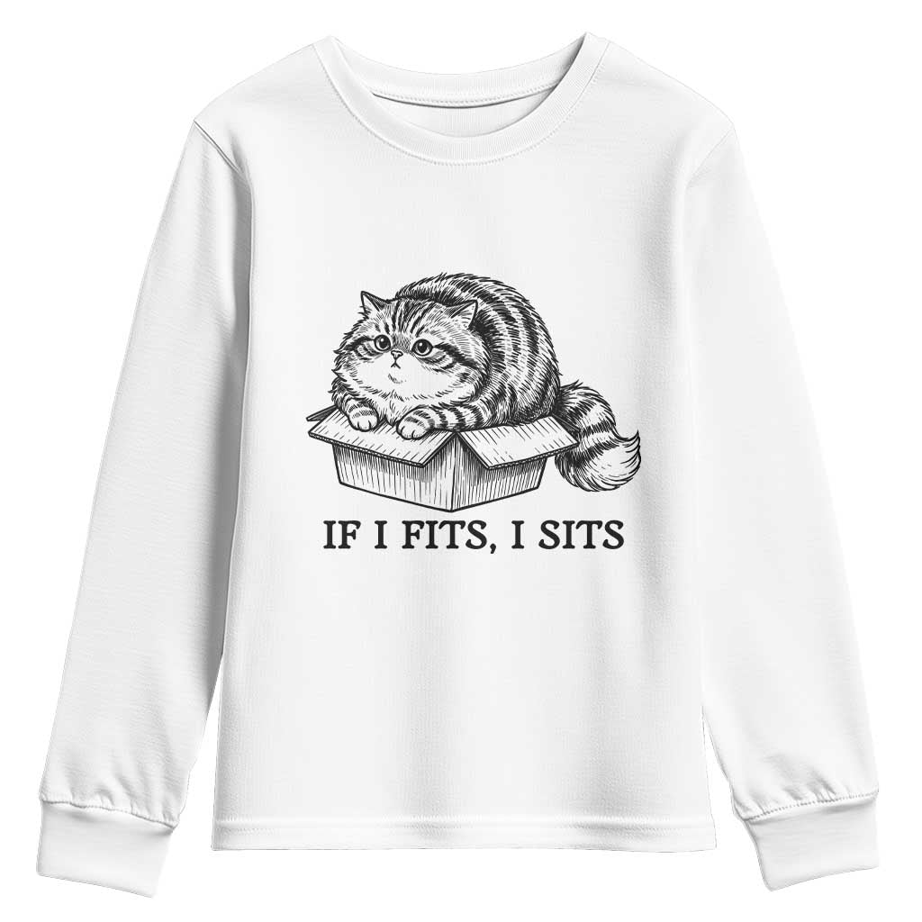 If I Fits I Sits Youth Sweatshirt Chubby Kitty Funny Cat Lover Gift
