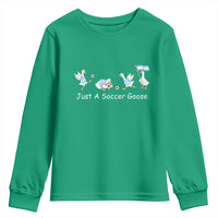 Funny Just A Soccer Goose Youth Sweatshirt Argentina Soccer Lover