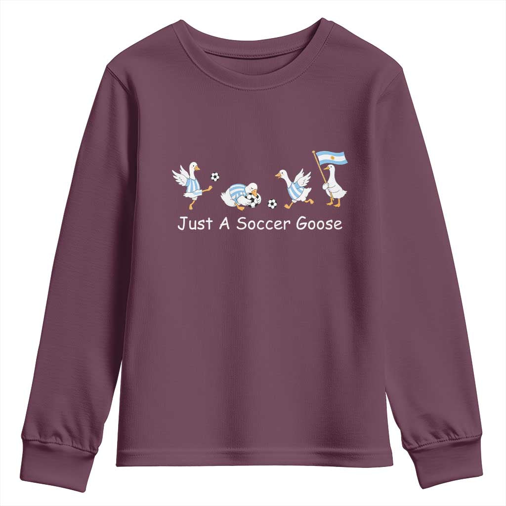 Funny Just A Soccer Goose Youth Sweatshirt Argentina Soccer Lover