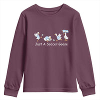 Funny Just A Soccer Goose Youth Sweatshirt Argentina Soccer Lover