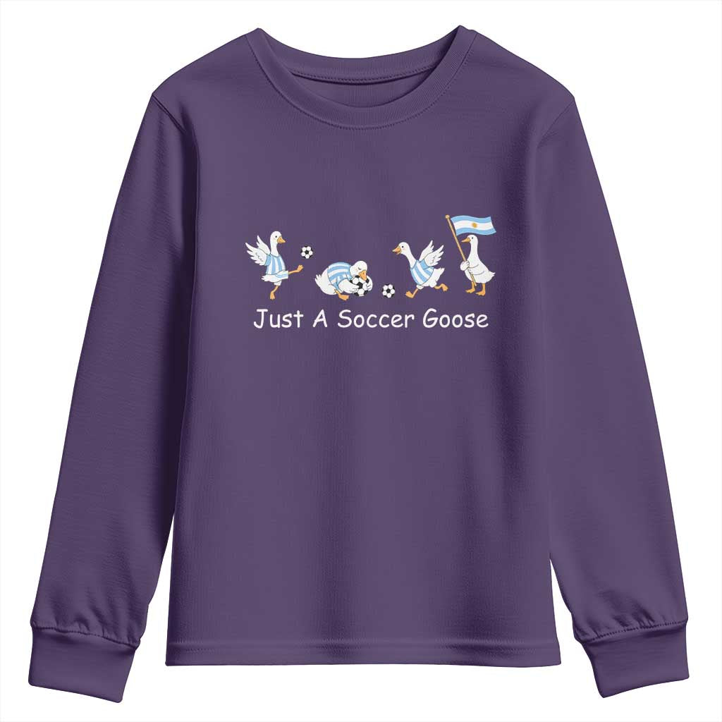 Funny Just A Soccer Goose Youth Sweatshirt Argentina Soccer Lover