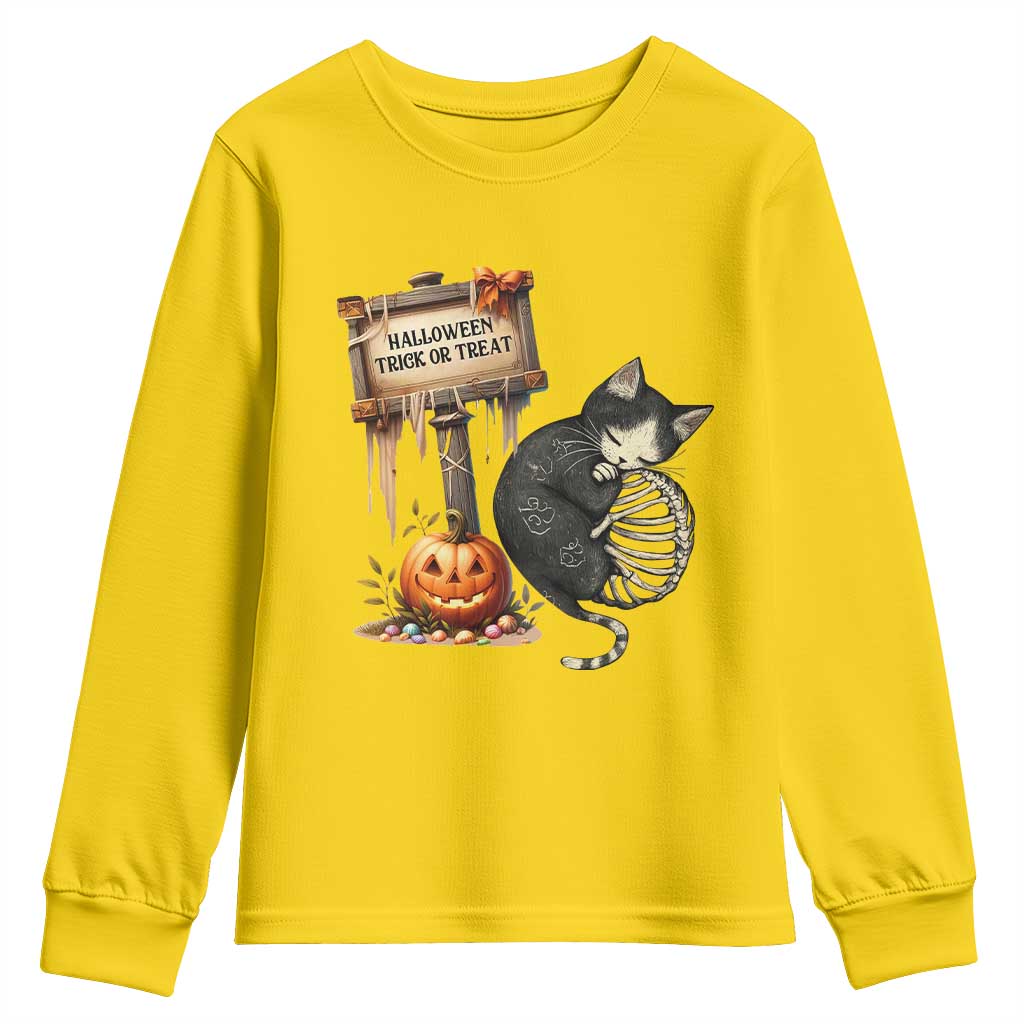Halloween Trick Or Treat Black Cat Skeleton Youth Sweatshirt - Wonder Print Shop