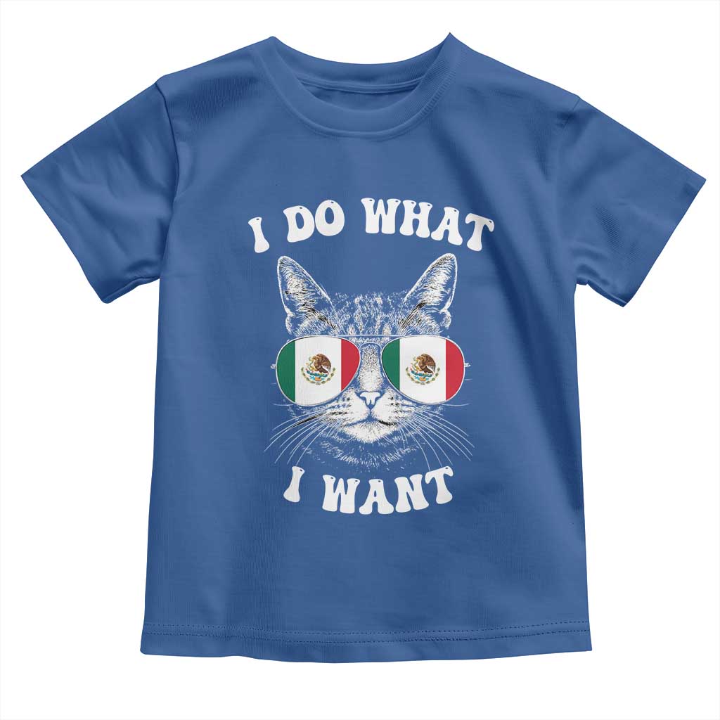 Mexican Cat Toddler T Shirt I Do What I Want Mexico Flag Sunglasses Funny - Wonder Print Shop