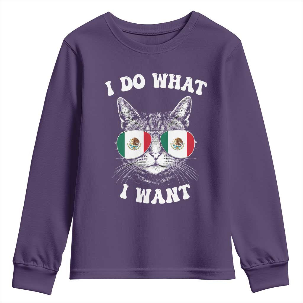 Mexican Cat Youth Sweatshirt I Do What I Want Mexico Flag Sunglasses Funny - Wonder Print Shop