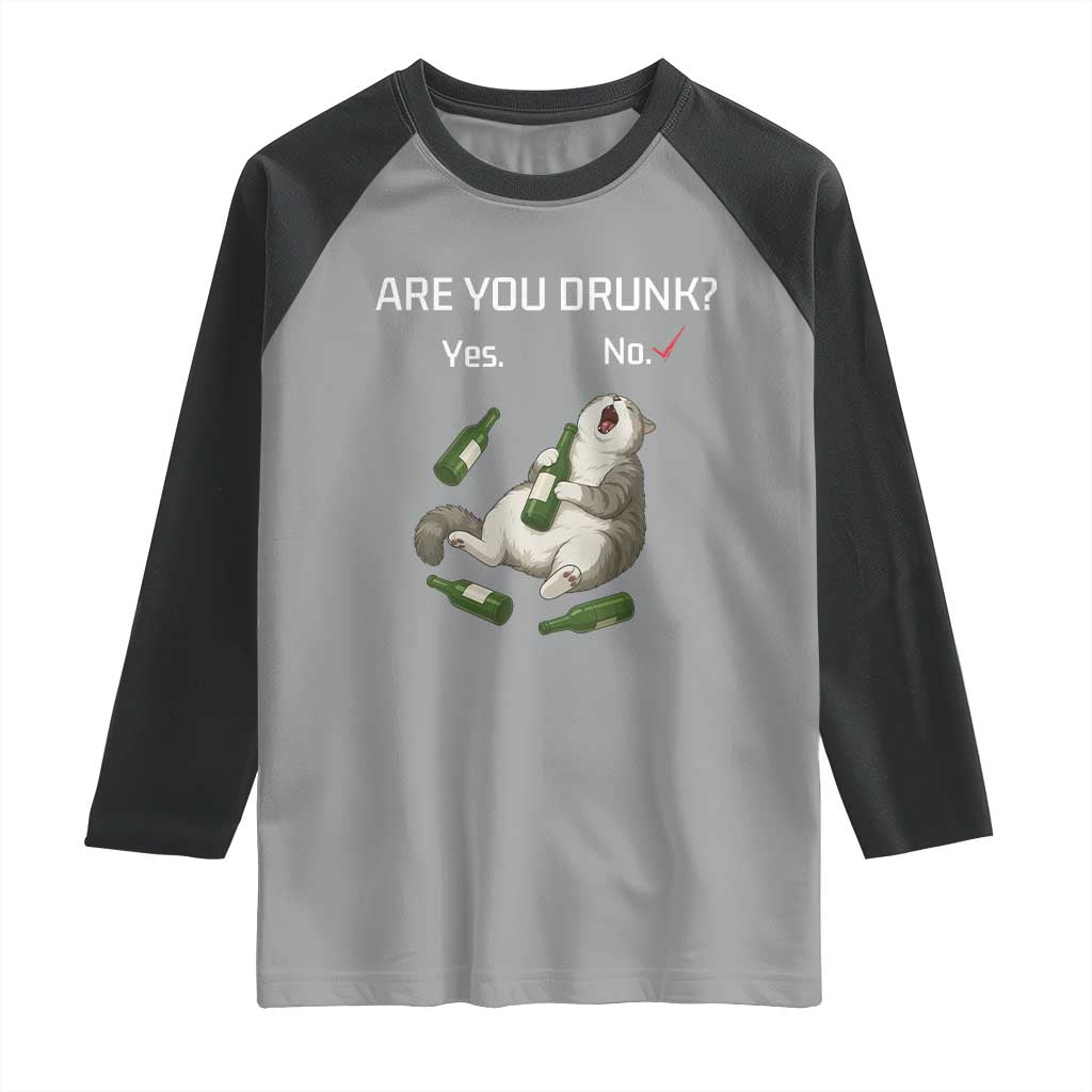 Cat Lover Humor Raglan Shirt Are You Drunk Funny Beer Gift - Wonder Print Shop