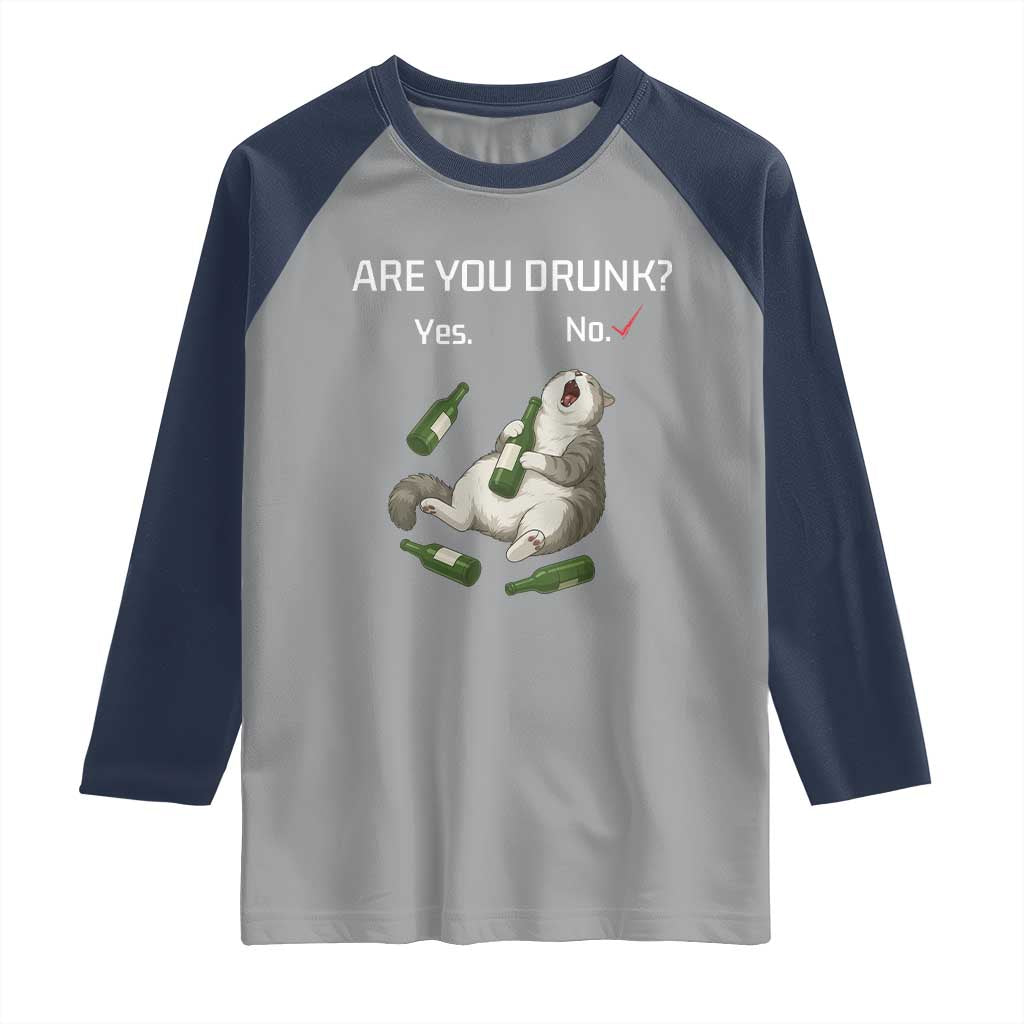 Cat Lover Humor Raglan Shirt Are You Drunk Funny Beer Gift - Wonder Print Shop