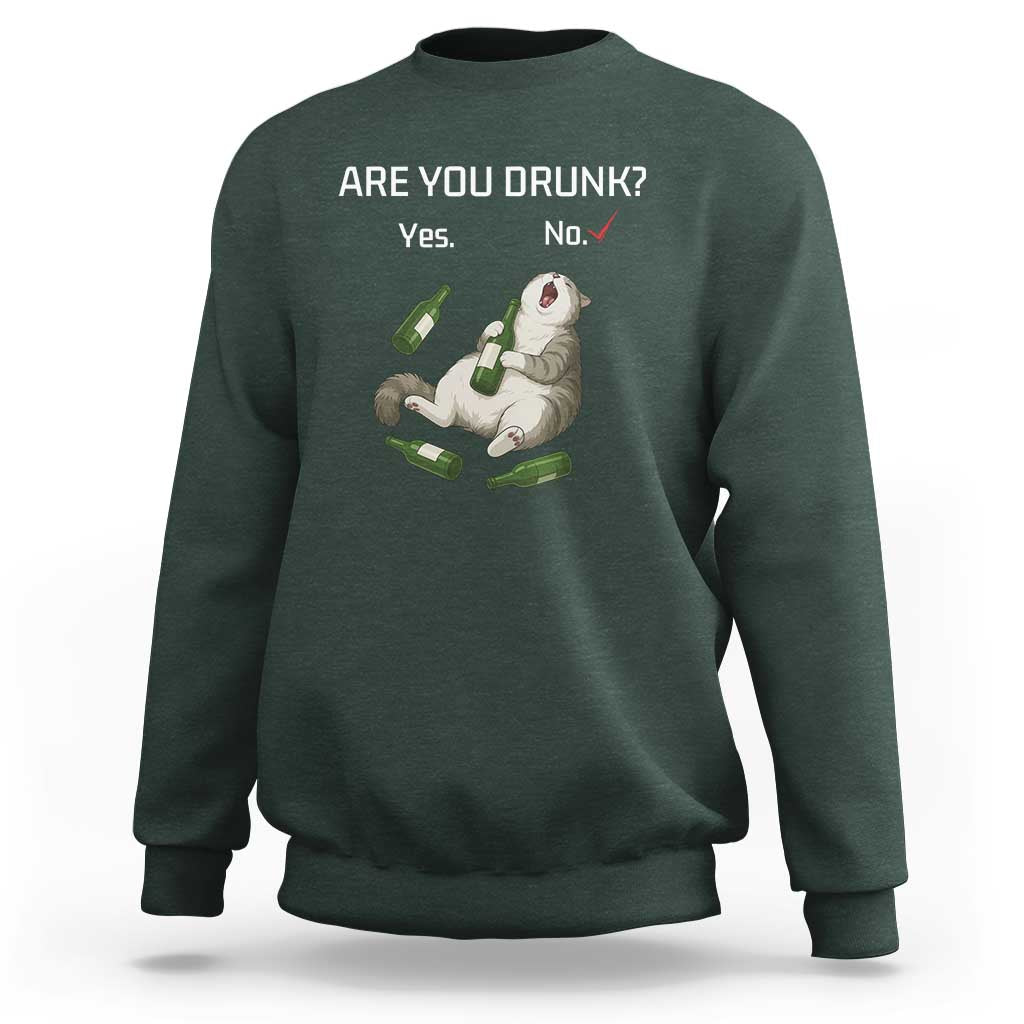 Cat Lover Humor Sweatshirt Are You Drunk Funny Beer Gift - Wonder Print Shop