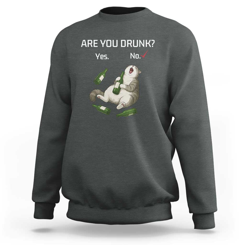 Cat Lover Humor Sweatshirt Are You Drunk Funny Beer Gift - Wonder Print Shop