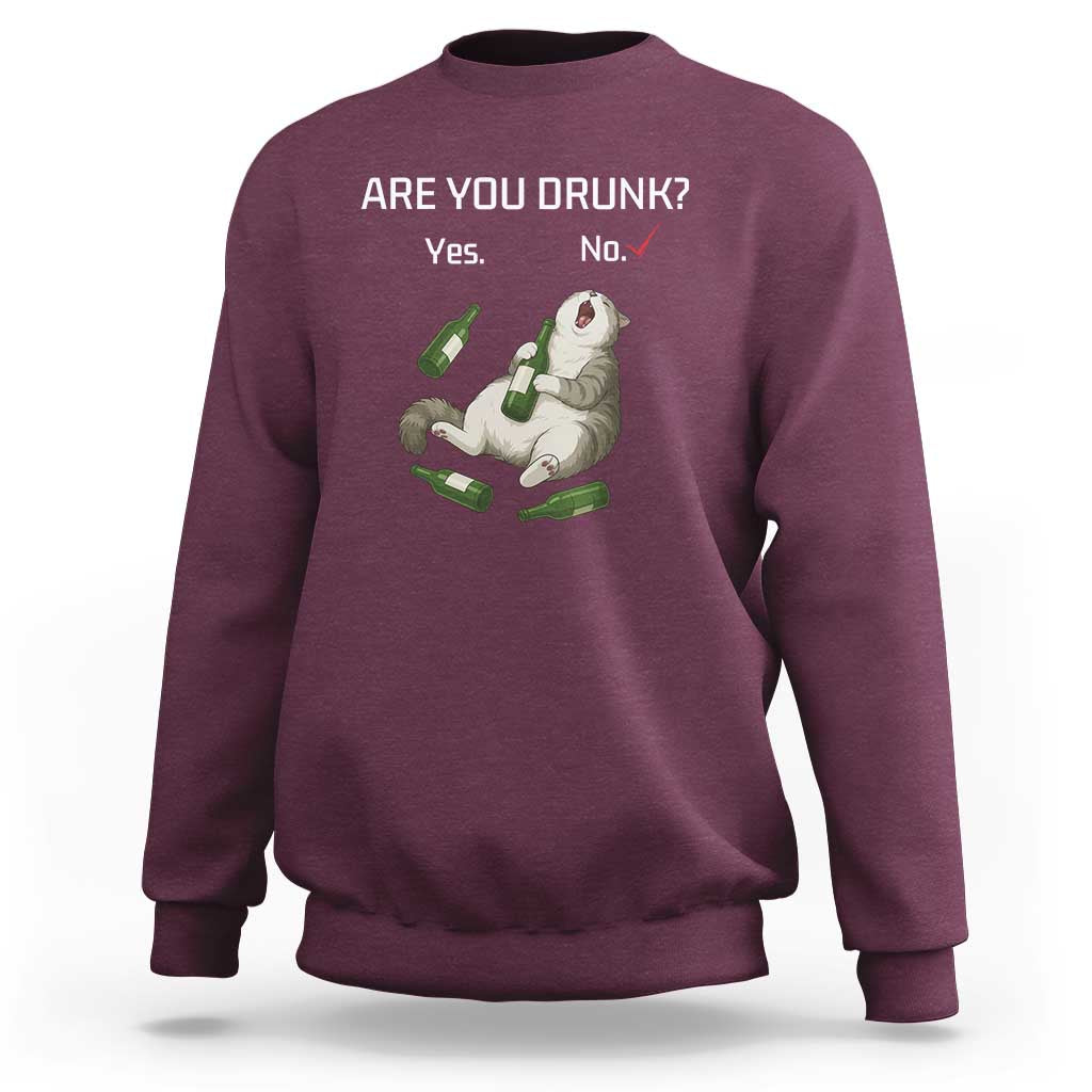 Cat Lover Humor Sweatshirt Are You Drunk Funny Beer Gift - Wonder Print Shop
