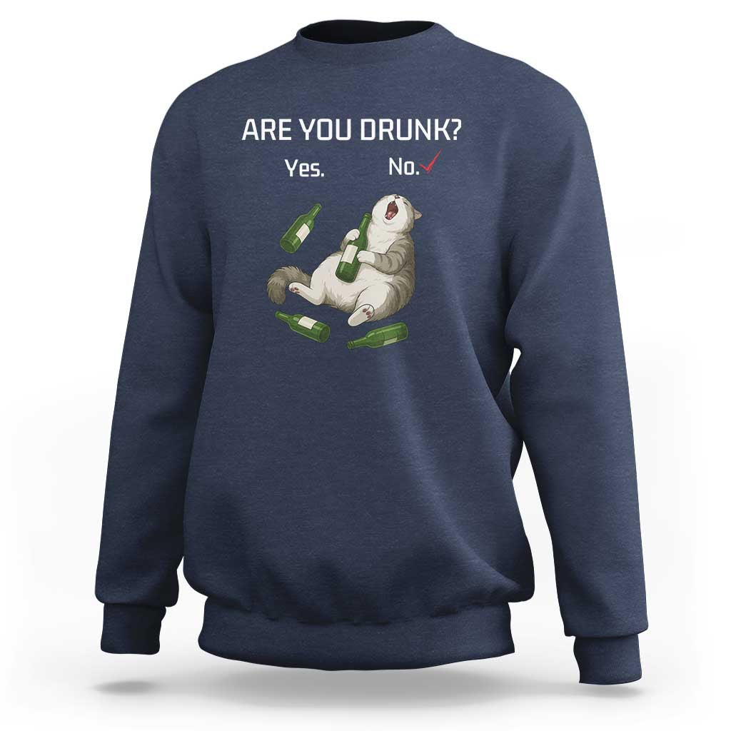 Cat Lover Humor Sweatshirt Are You Drunk Funny Beer Gift - Wonder Print Shop