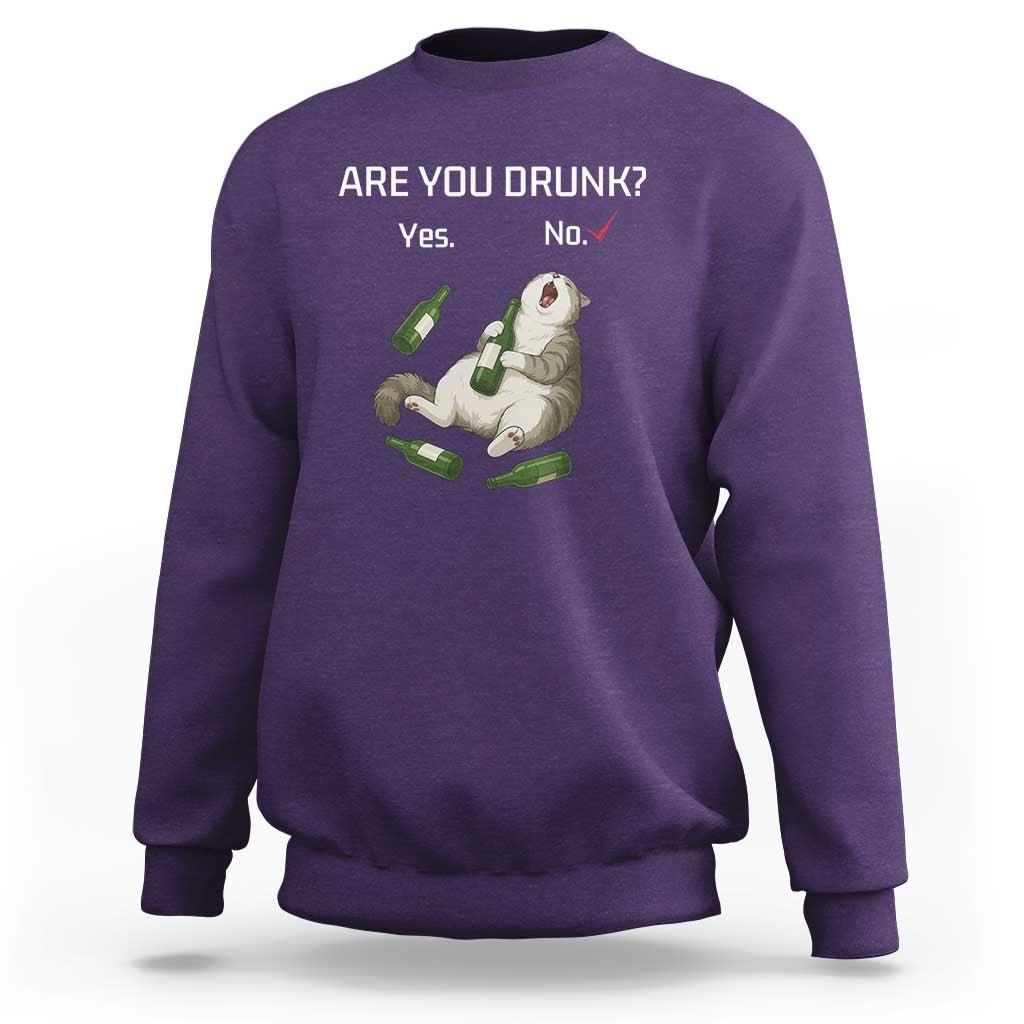 Cat Lover Humor Sweatshirt Are You Drunk Funny Beer Gift - Wonder Print Shop