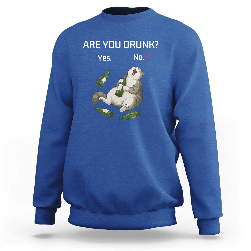 Cat Lover Humor Sweatshirt Are You Drunk Funny Beer Gift - Wonder Print Shop