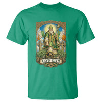 Funny Saint Patrick Go'n Git Snake T Shirt St Patricks Day
