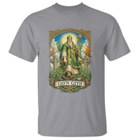 Funny Saint Patrick Go'n Git Snake T Shirt St Patricks Day