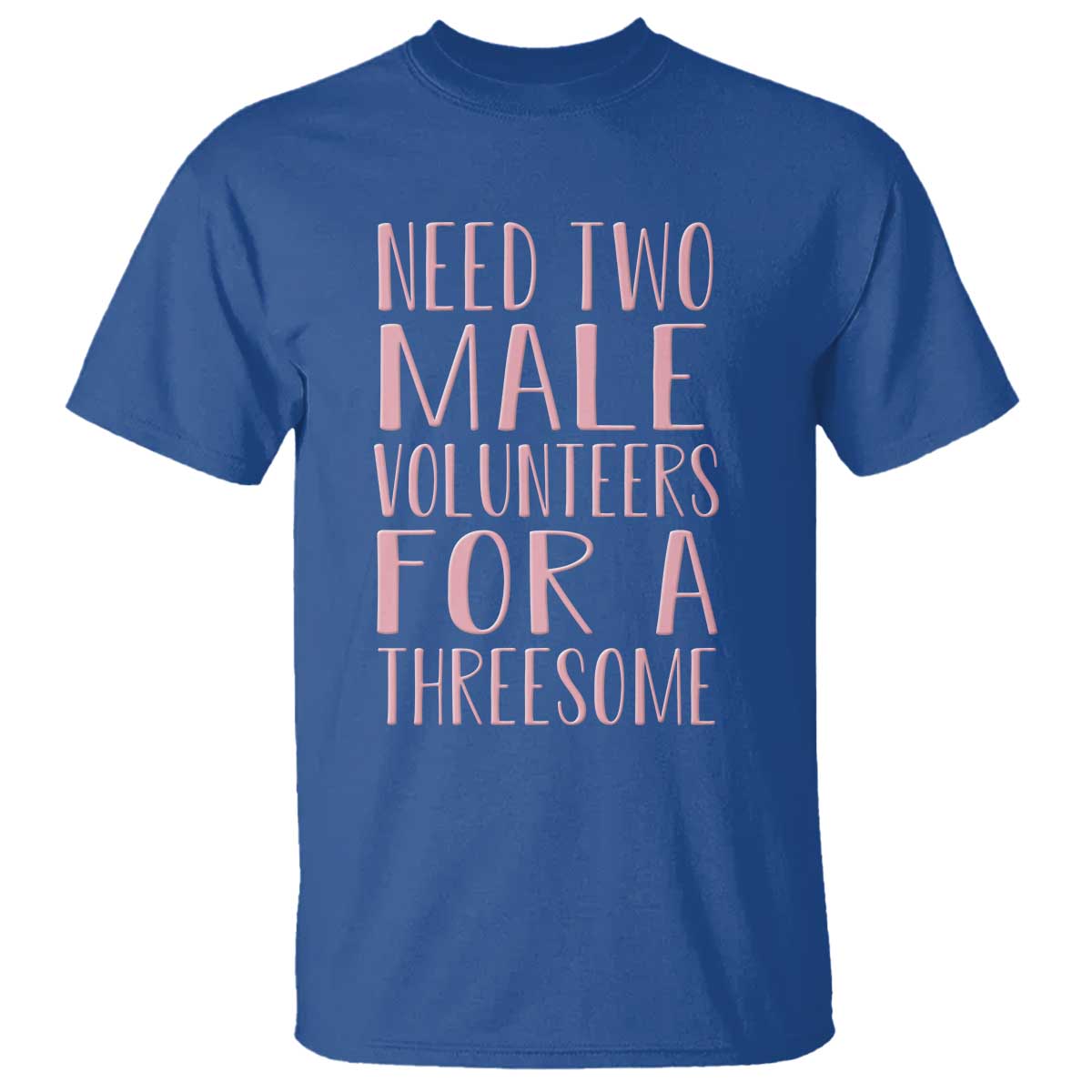 Dirty Joke Gag Gift T Shirt Need Two Male Volunteers For A Threesome