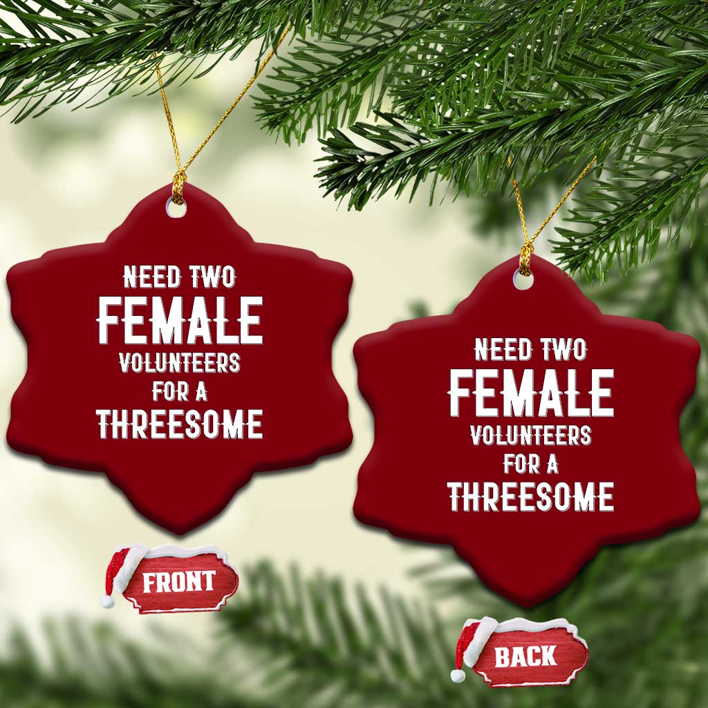 Funny Adult Humor Ceramic Ornament Need Two Female Volunteers For A Threesome