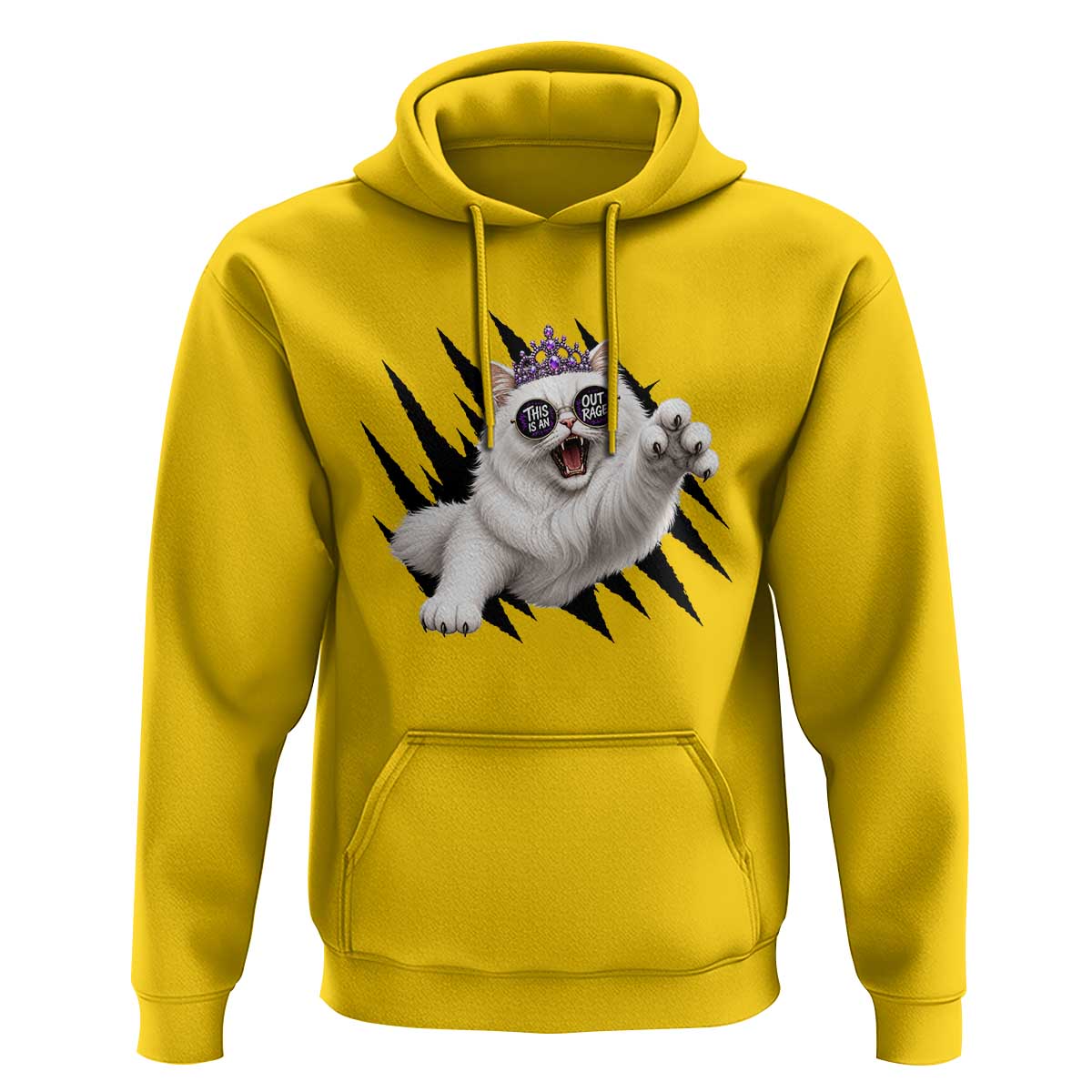 Funny Princess Cat With Featuring Scratch Effect Printed Hoodie This Is An Outrage