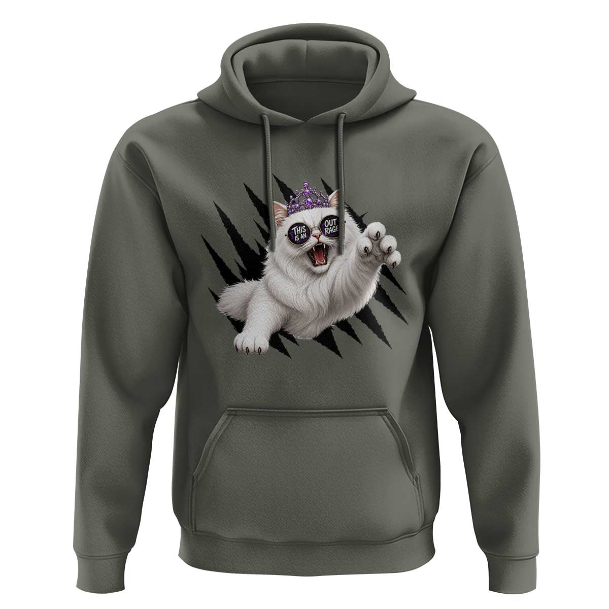 Funny Princess Cat With Featuring Scratch Effect Printed Hoodie This Is An Outrage
