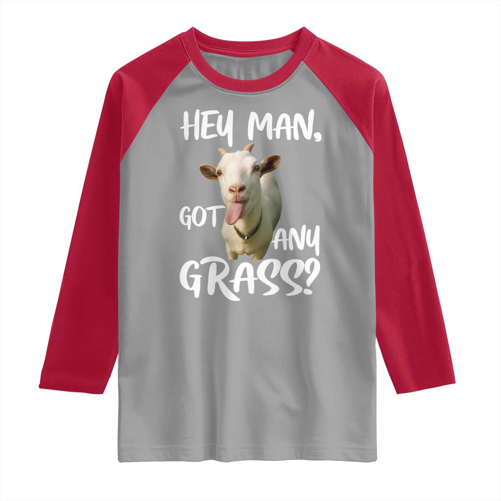 Hey Man Got Any Grass Raglan Shirt Funny Goat Stoner Gift - Wonder Print Shop