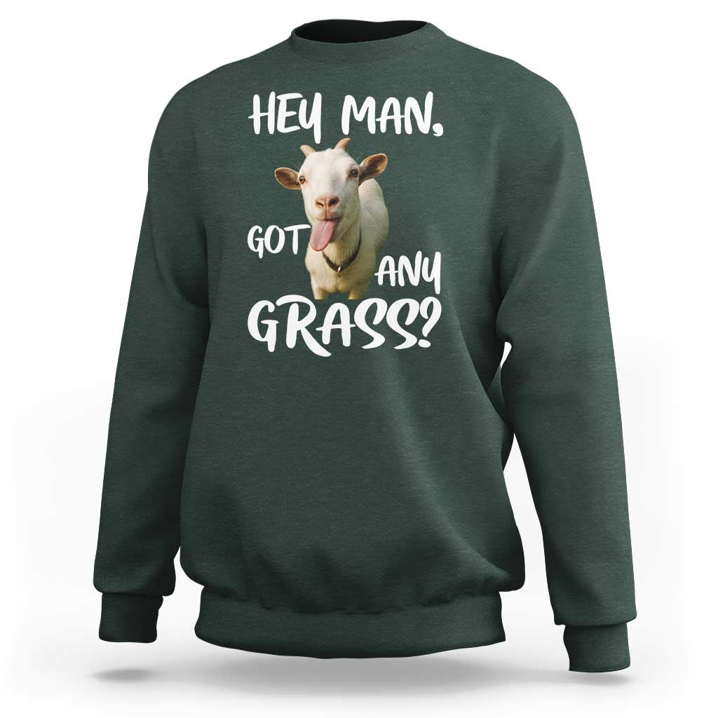 Hey Man Got Any Grass Sweatshirt Funny Goat Stoner Gift - Wonder Print Shop