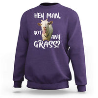 Hey Man Got Any Grass Sweatshirt Funny Goat Stoner Gift - Wonder Print Shop