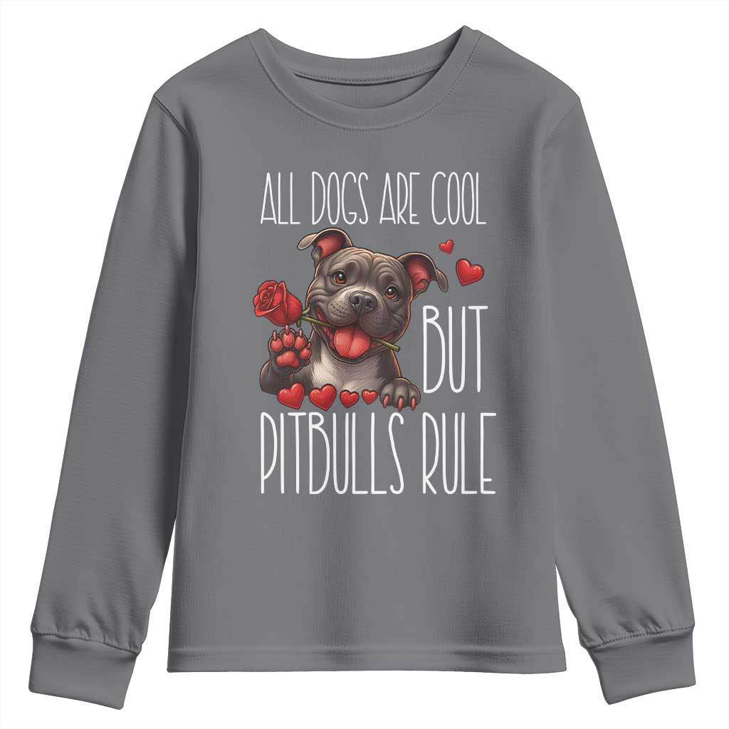 Pitbull Lover Youth Sweatshirt All Dogs Are Cool But Pitbulls Rule - Wonder Print Shop