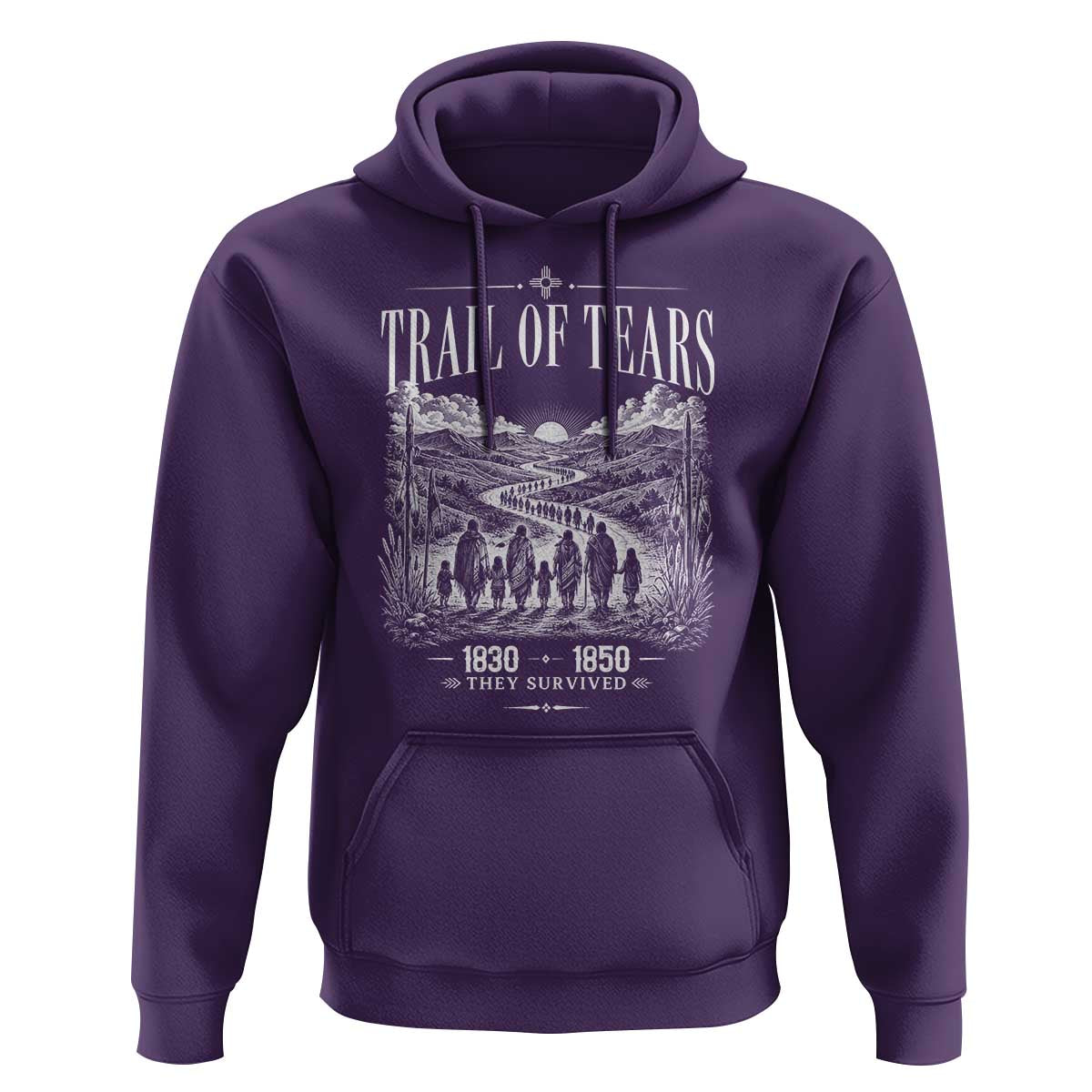 Cherokee History Native American Vintage Gift Hoodie They Survived Trail Of Tears