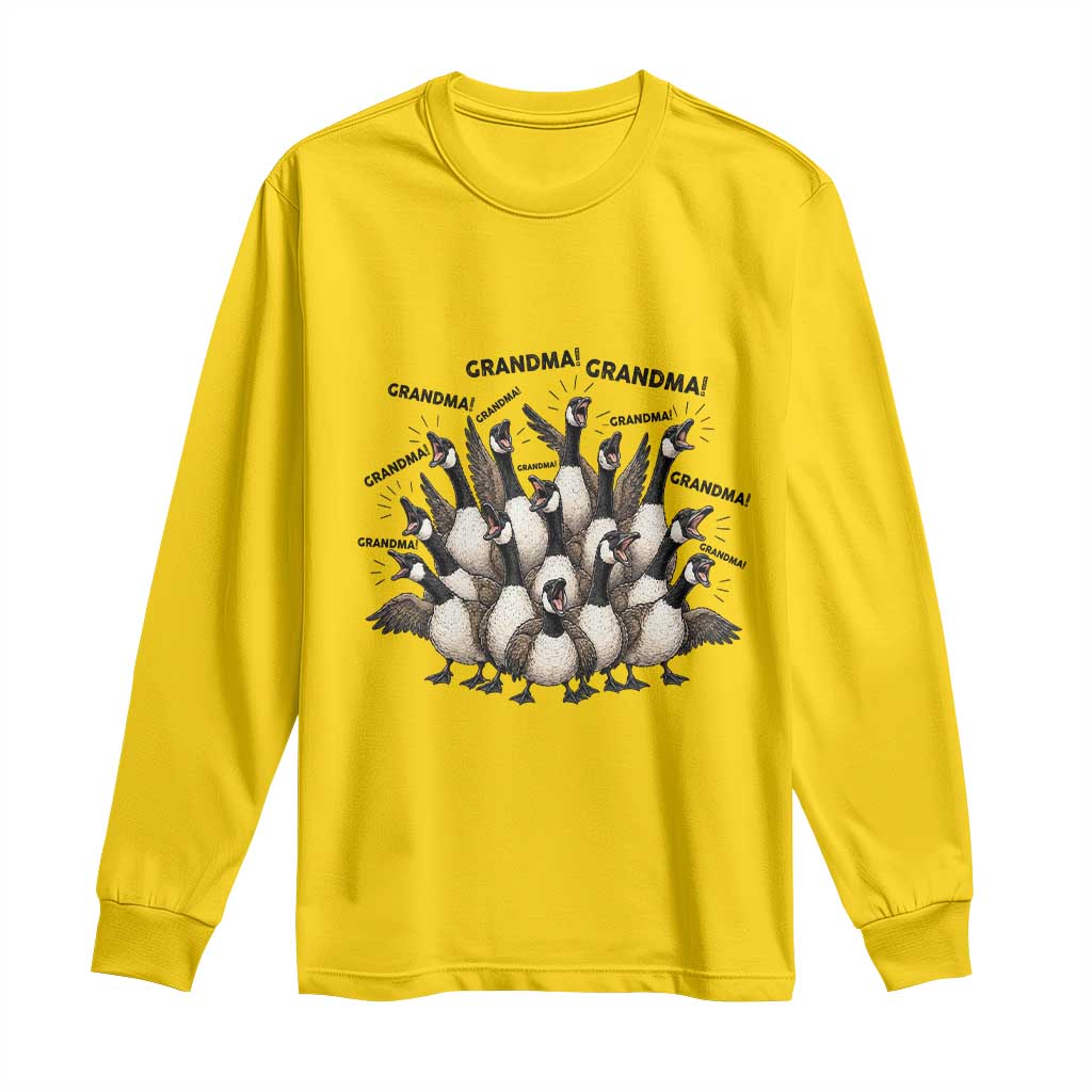 Funny Silly Goose Grandma Long Sleeve Shirt Chaos Coordinator Grandma Life Graphic