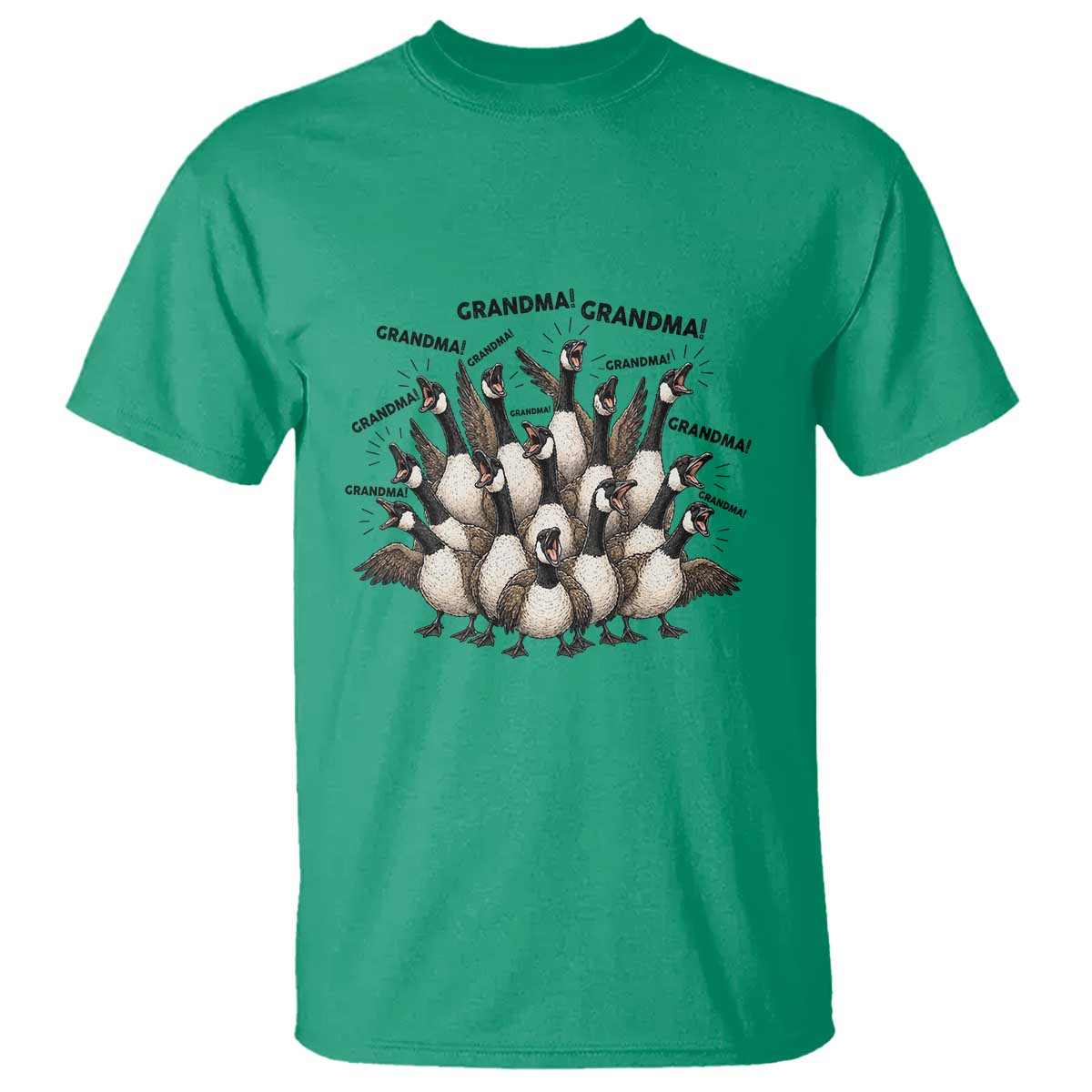 Funny Silly Goose Grandma T Shirt Chaos Coordinator Grandma Life Graphic