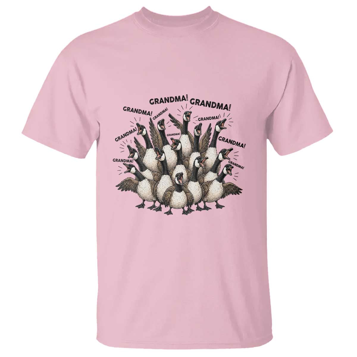 Funny Silly Goose Grandma T Shirt Chaos Coordinator Grandma Life Graphic